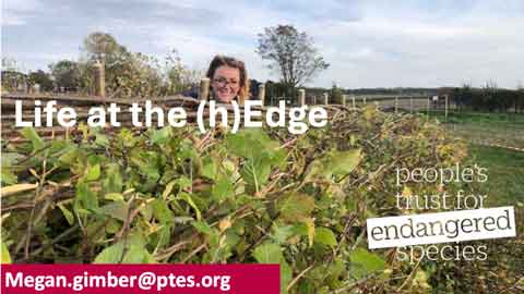 title slide for Hedgerows presentation