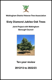 front cover of Jubilee Trees Report