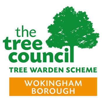 TC logo