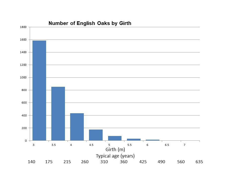 chart of number of oaks by girth