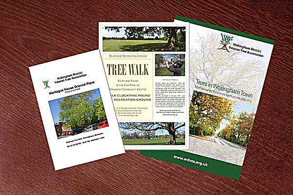 3 WDVTA leaflets