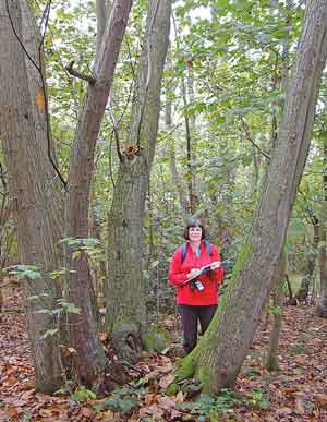 Surveyor in red jacket