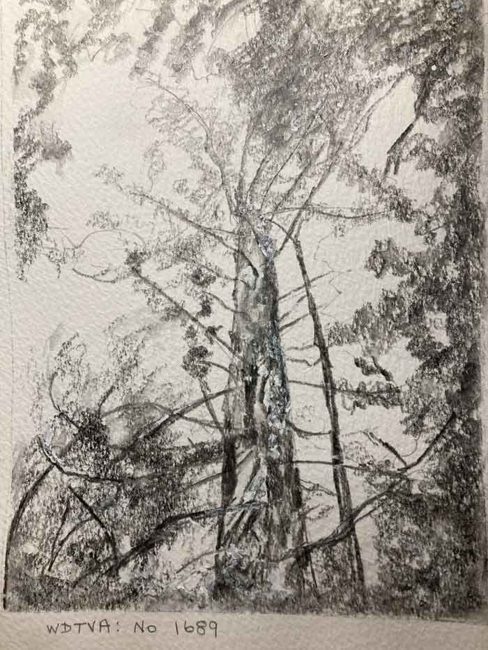 tree painting