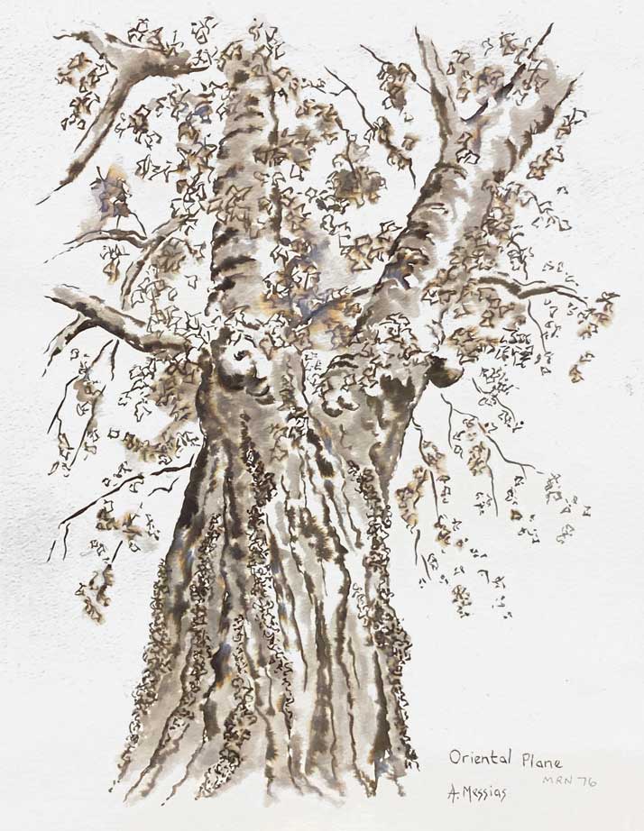 tree painting