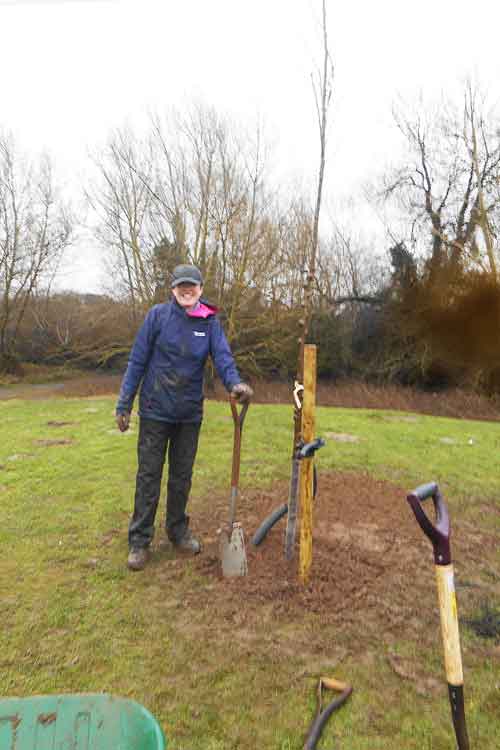 Woman smiling beside sapling