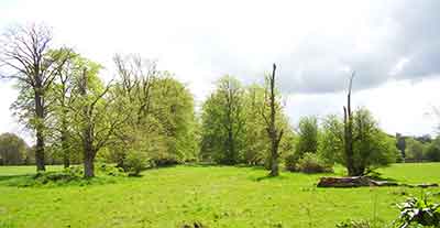 Lime Avenue Barkham