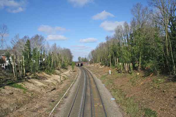 railway line with vegetation being cleared