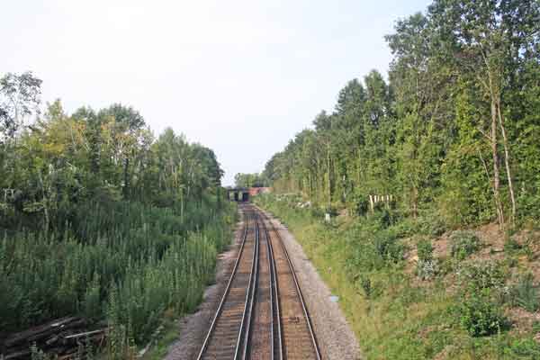 railway line with vegetation regrowing