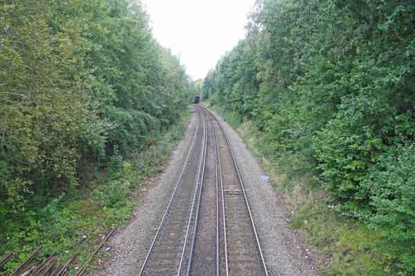 railway line with vegetation cleared on left