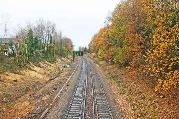railway line with vegetation being cleared
