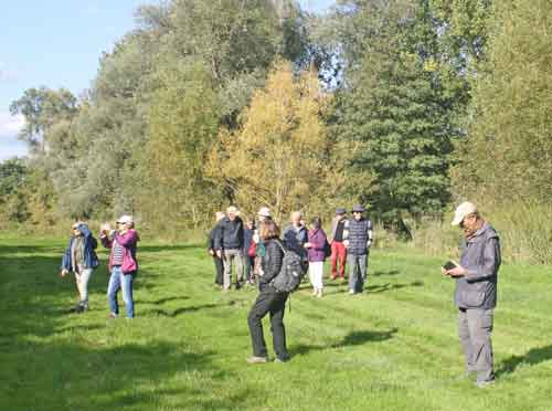 hedgerow and walkers