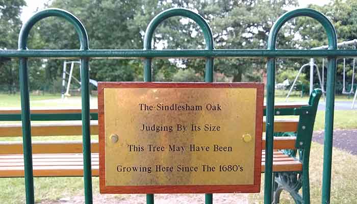 plaque on tree saying it dates from 1680s