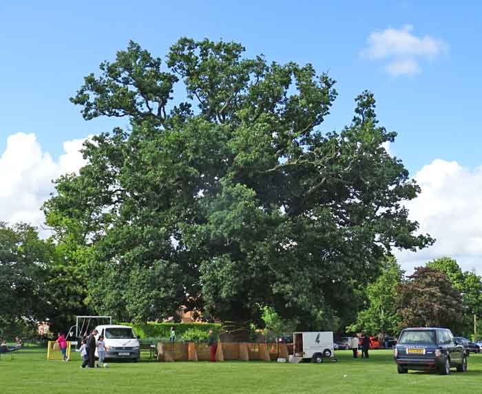 oak, summer fete