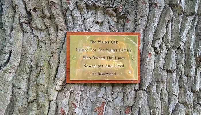 plaque on tree comemorating Walter family