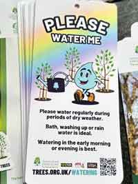 tree label Please Water Me