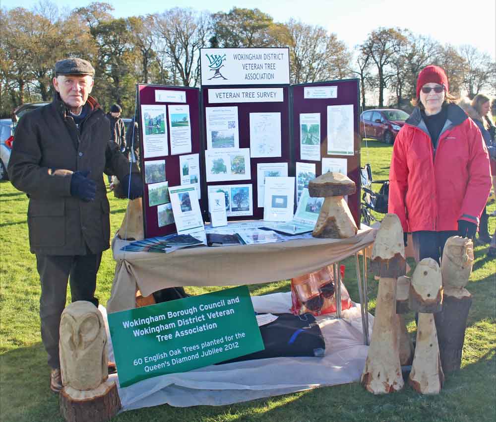 WDVTA stand at festival