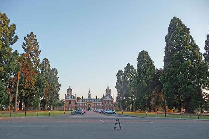 avenue of wellingtonias in front of college