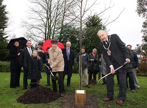 Jubilee tree 1 planting ceremony, Shute End