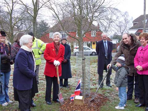 Jubilee tree 8 planting