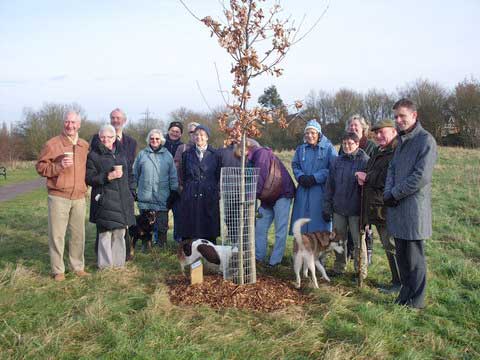 Jubilee tree 20 planting