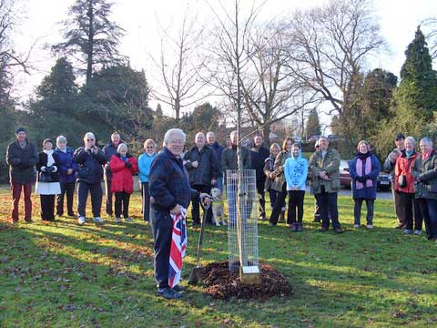 Jubilee tree 23 planting