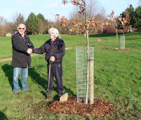 Jubilee tree 24 planting