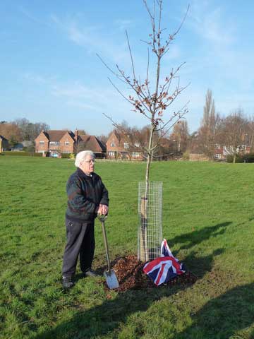 Jubilee tree 25 planting
