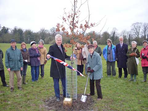 Jubilee tree 60 planting